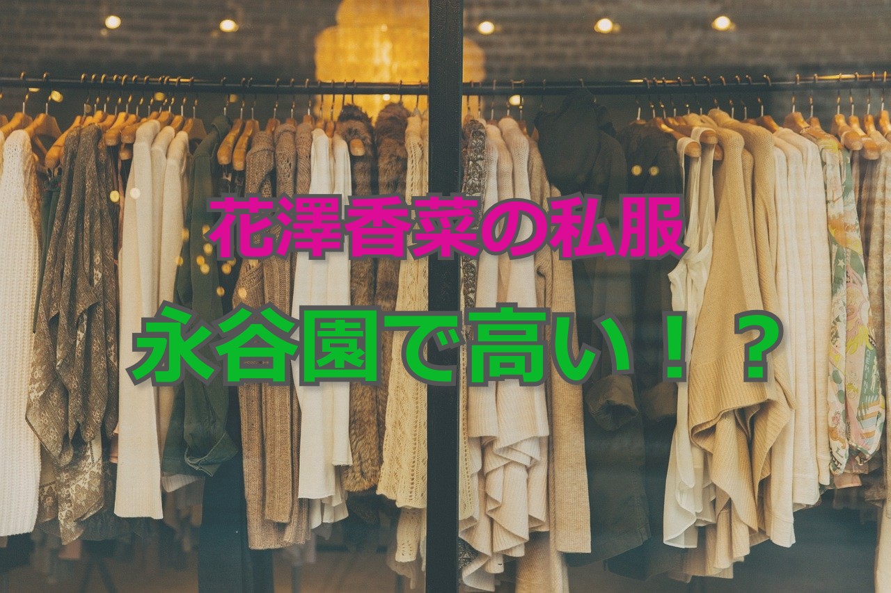 花澤香菜の私服は永谷園 ダサいけど値段は高い 画像で解説 かわブロ