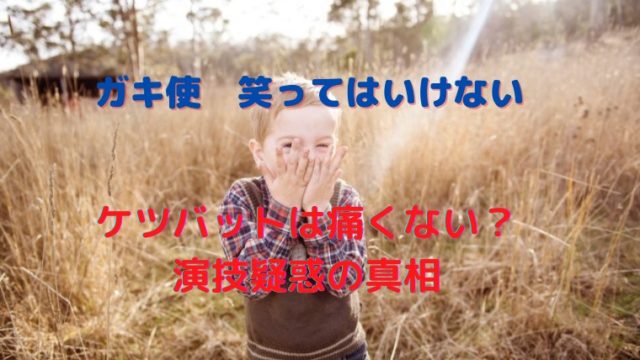 ガキ使は痛くない ケツバットの痛がりは演技 検証動画あり かわブロ