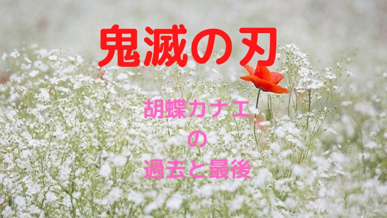 鬼滅の刃カナエの最後と過去が悲惨 柱としての強さや呼吸の型を調査 かわブロ