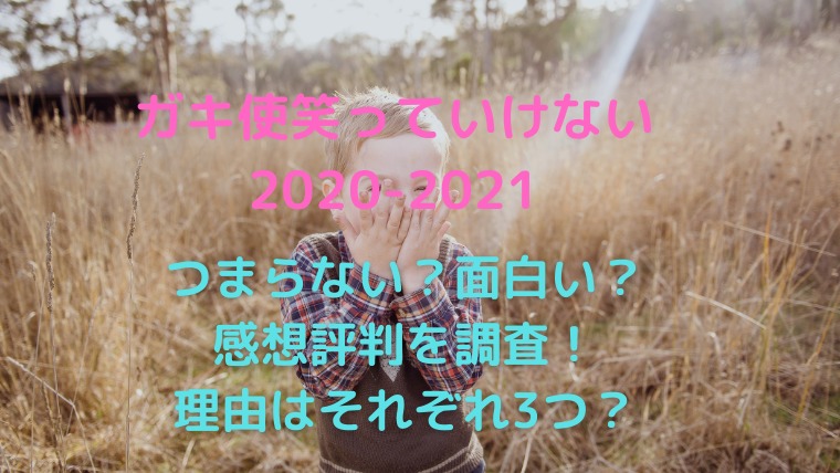 ガキ使 21つまらない 面白い 理由や感想評判を調査 かわブロ