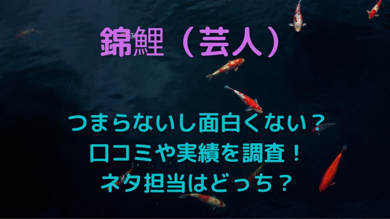 錦鯉 芸人 はつまらない ネタ動画の評判は ネタ作りについて調査 かわブロ