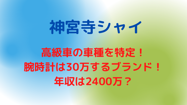 神宮寺シャイの車はbmwで腕時計のブランドはどこ 年収は2400万以上 かわブロ